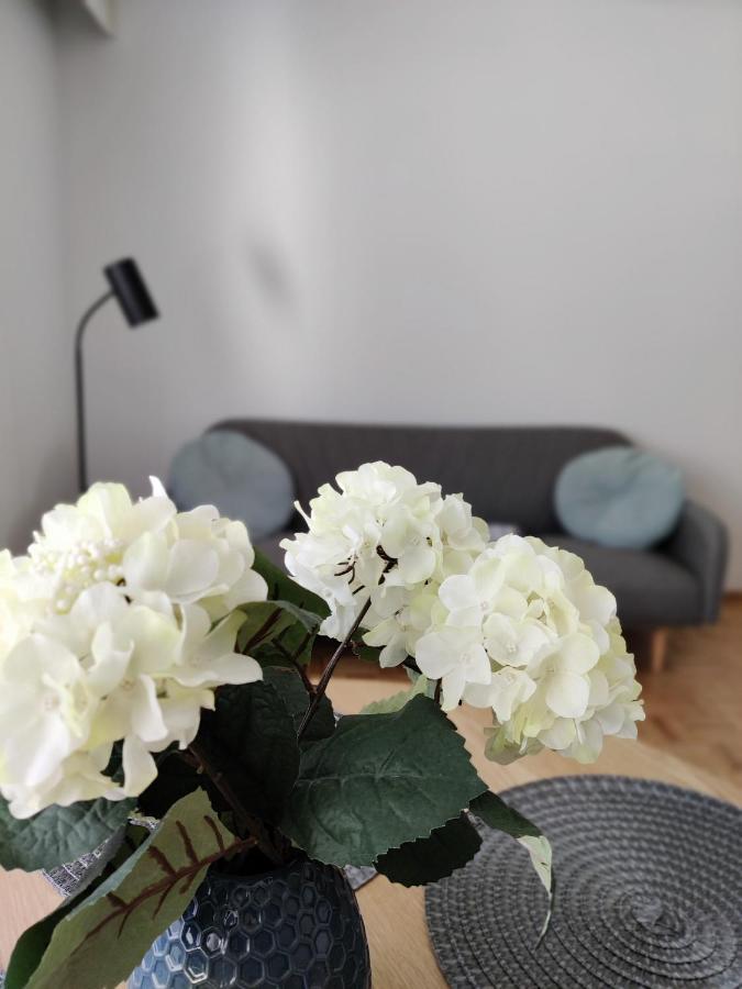 Niinivaara Apartment Saunallinen Ja Ilmastoitu Majoitus Joensuu Buitenkant foto